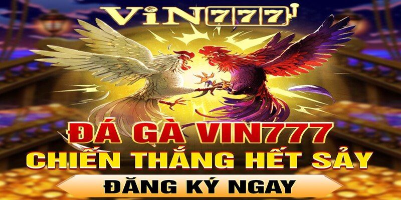 Trải nghiệm cá cược đá gà kịch tính