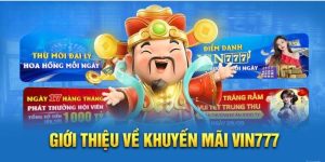 bảo hiểm cược thua